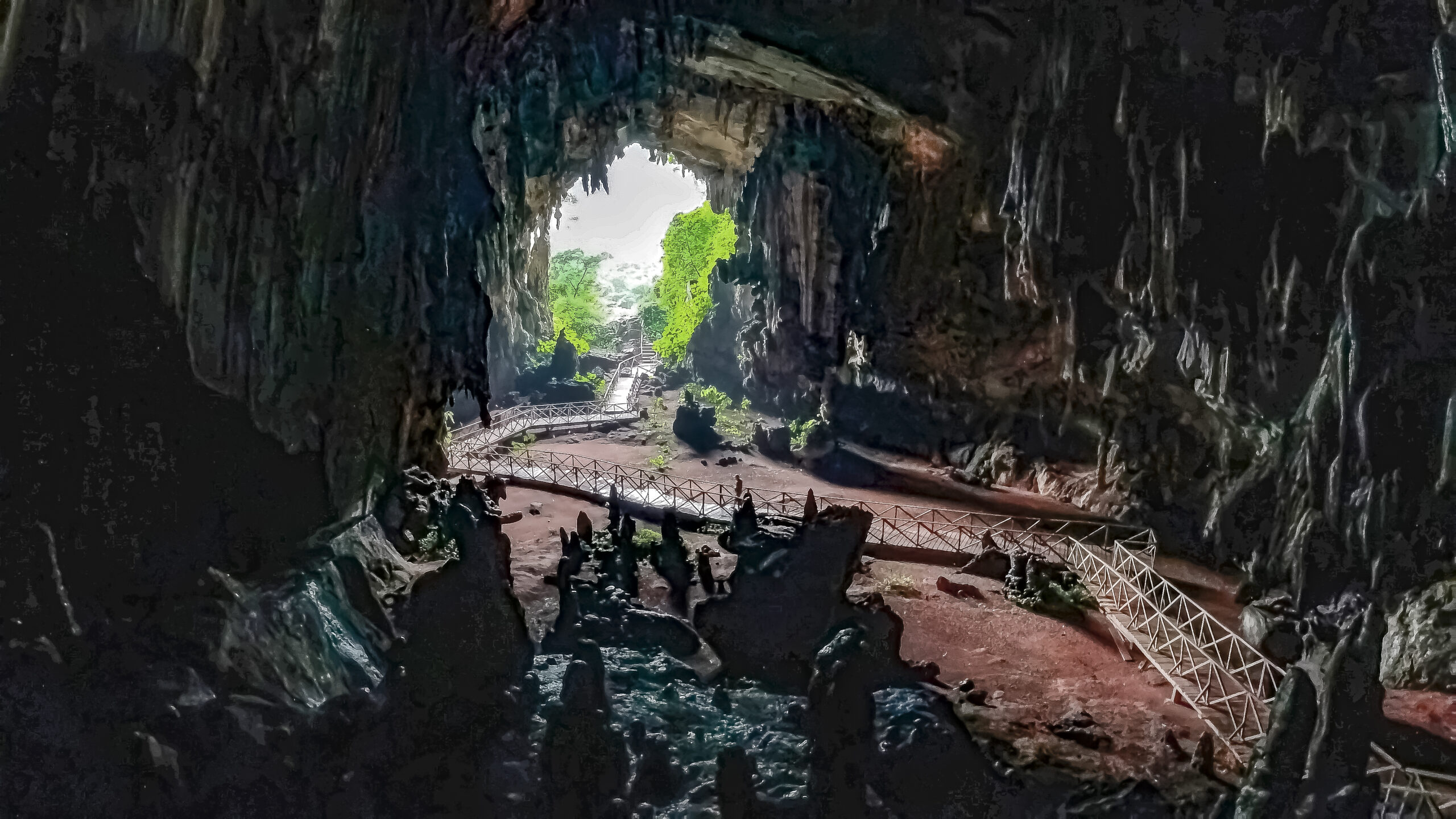 Cueva de las lechuzas tingo maria 1